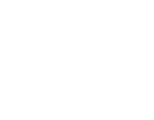 logo dark